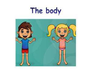 части тела (the body) 