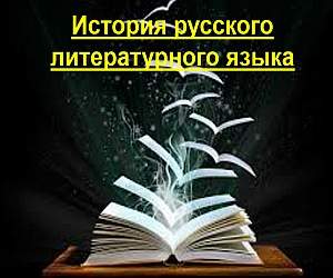 История русского литературного языка

