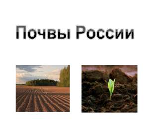 презентация почвы России