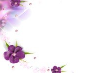 шаблон для презентаций Фиолетовые цветы на белом фоне
