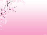 шаблон для презентаций Сакура, цвет вишни