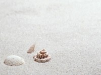 Песок с ракушками